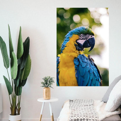 Perfil del Loro
