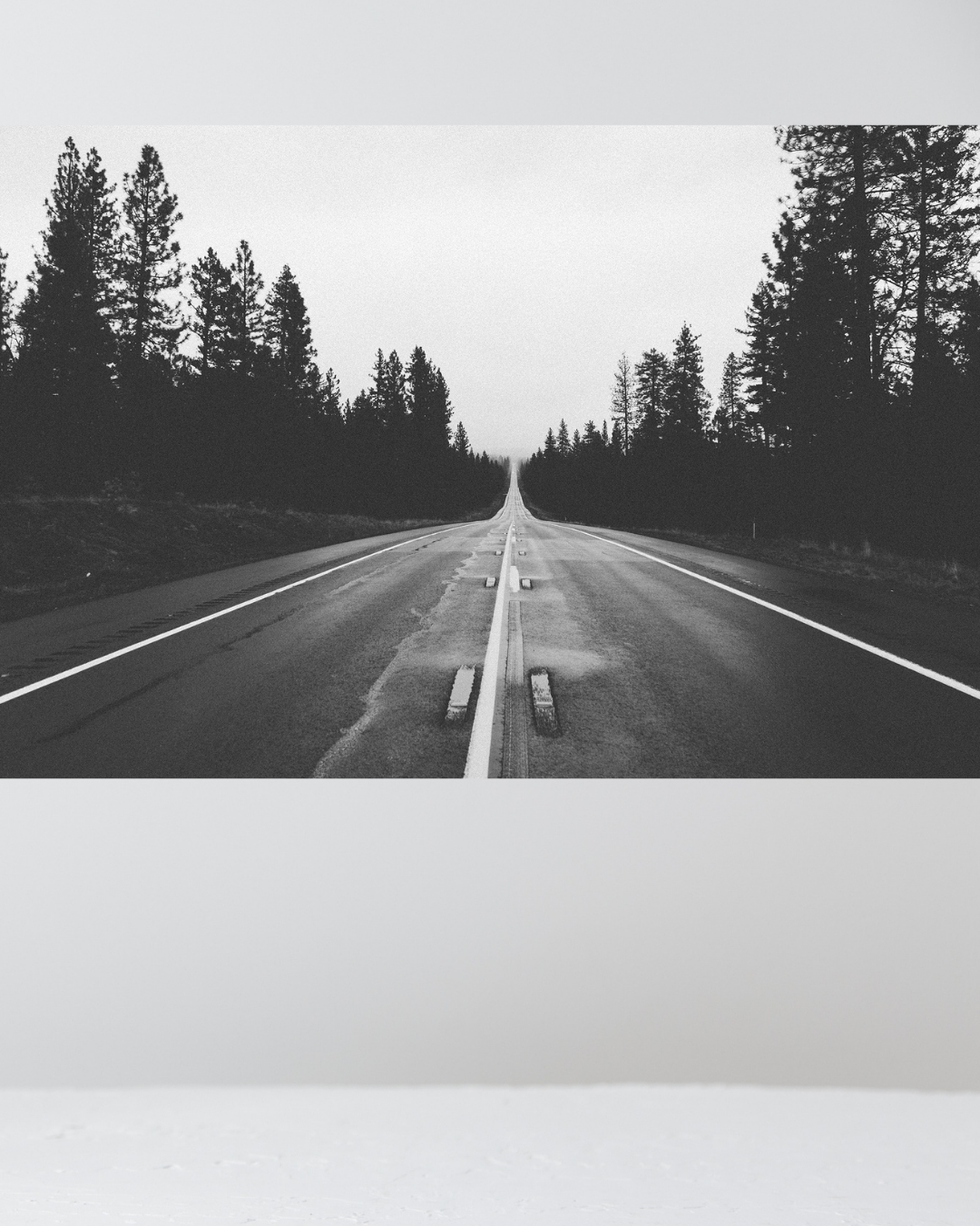 Carretera en el Bosque