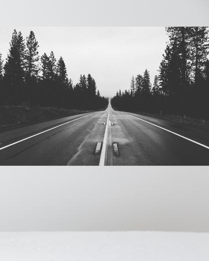 Carretera en el Bosque