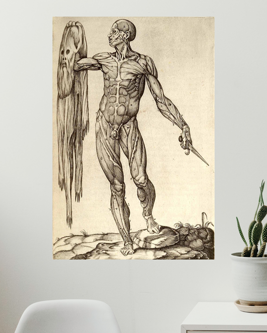 Anatomía del Cuerpo Humano, Juan Valverde de Amusco