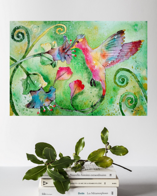 Dibujo de un Colibrí