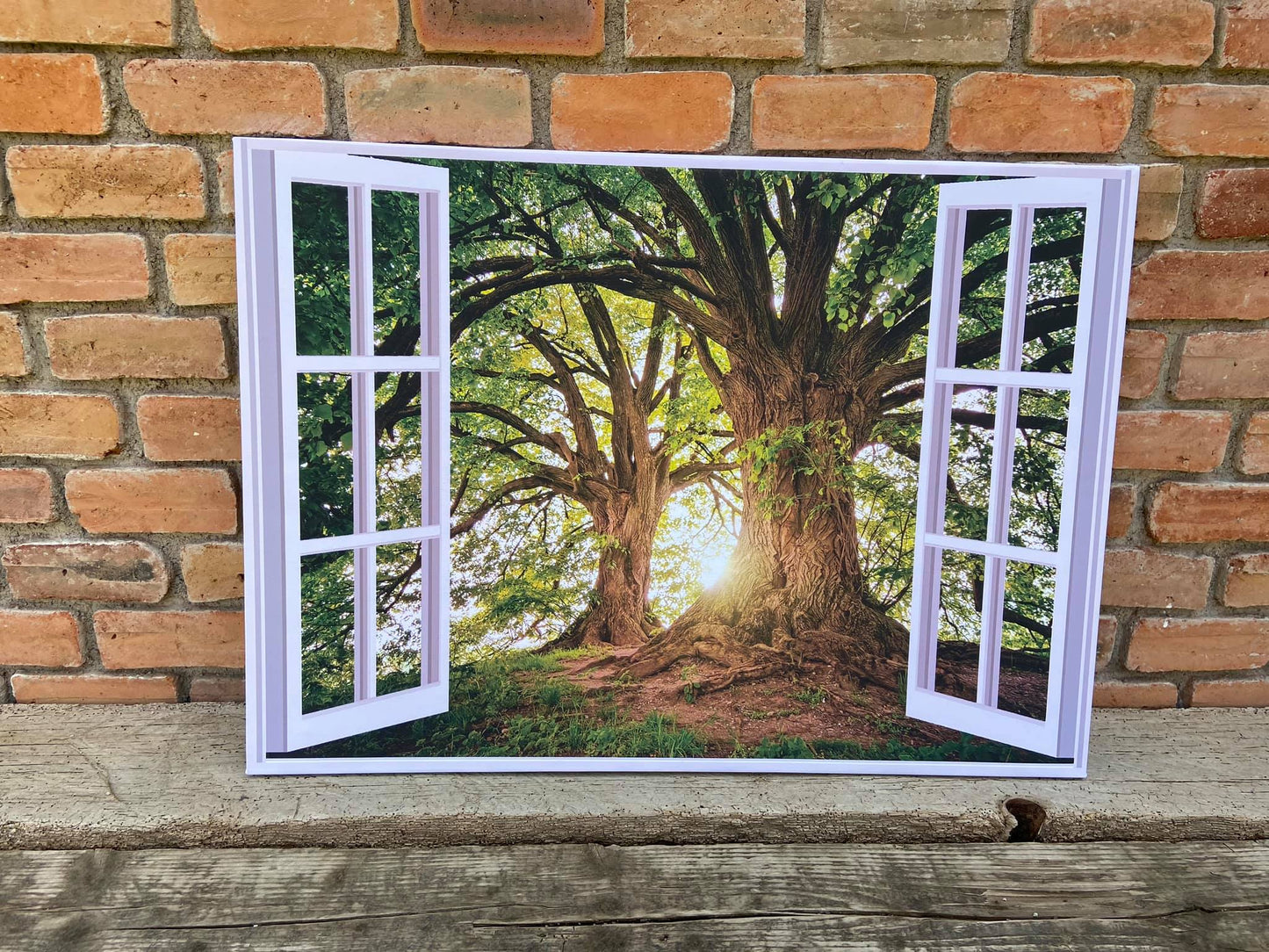 Vista a la Naturaleza