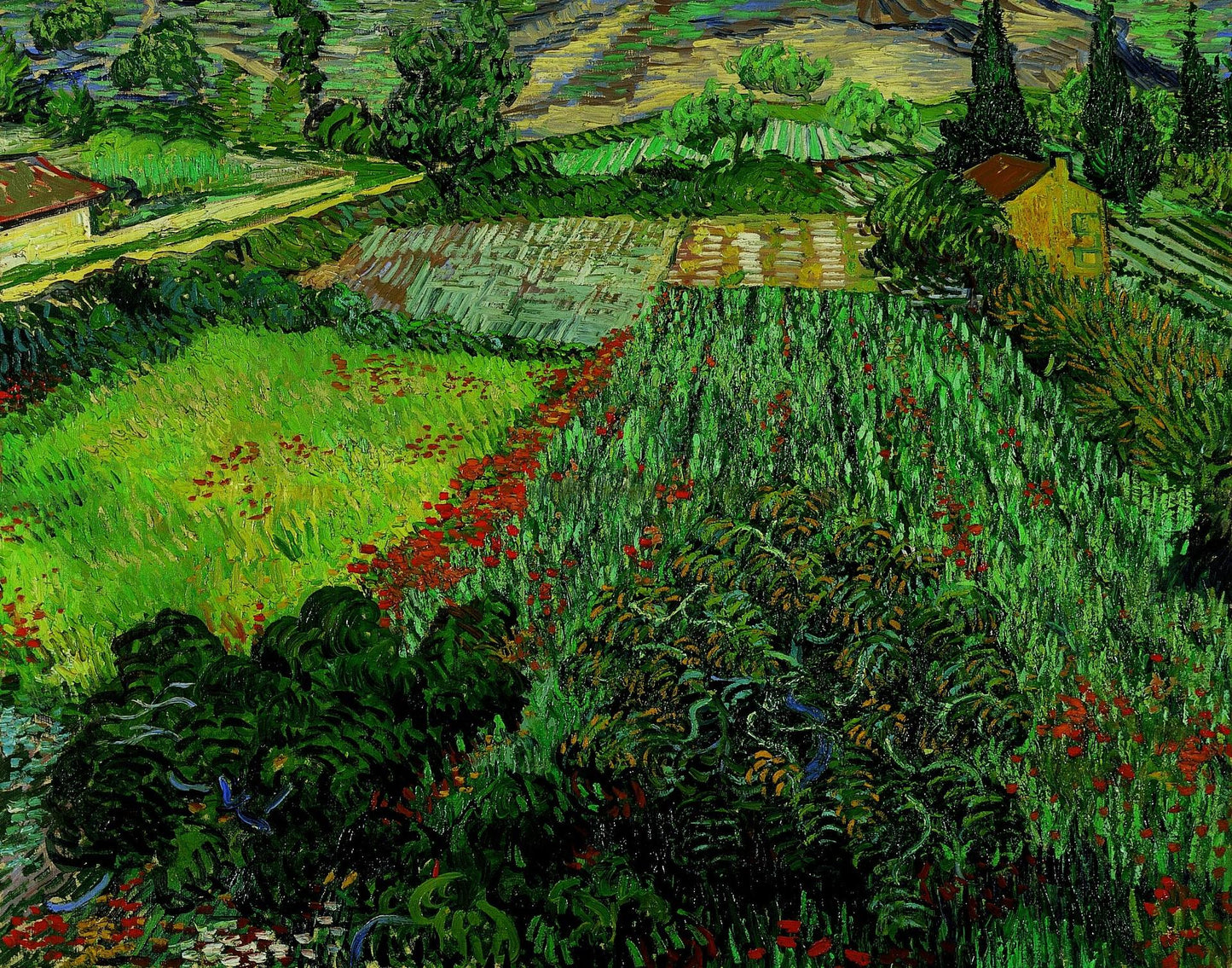 Campo con Amapolas - Vincent van Gogh