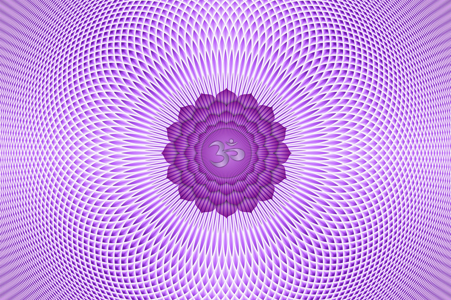 Centro Energético Morado