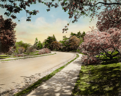 Camino Floral